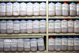 نمی‌توان ارزش مادی گیاهان هرباریوم را تعیین کرد