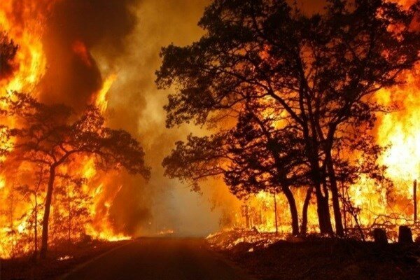 سه هکتار از مراتع بخش ریز شهرستان جم در آتش سوخت
