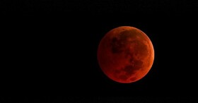 همه آنچه باید درباره ماه "بلوط" بدانید