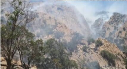 آتش سوزی "دشتک دیل" گسترده است/ درخواست کمک از تیم های کوهنوردی