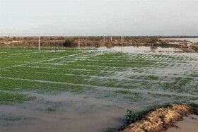 کوچکی‌نژاد: جلوی تعرض به حریم رودخانه‌ها گرفته شود