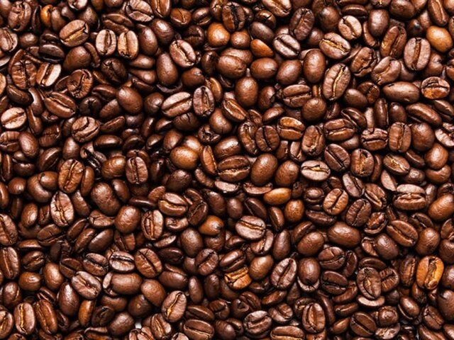 دورخیز اسدآباد برای جذب سرمایه‌گذار تولید قهوه