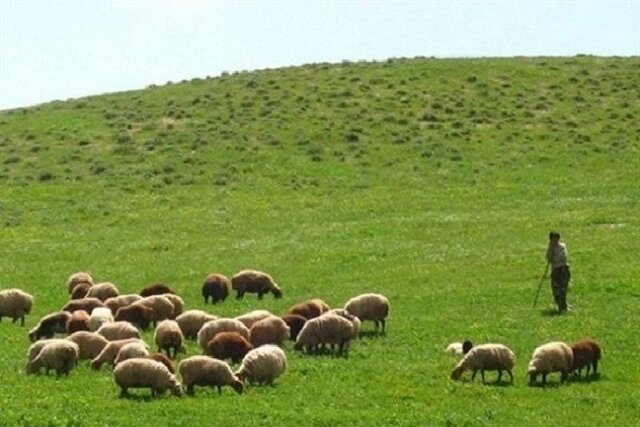 پیگیری ها برای بازگشت مراتع گنبد به منابع طبیعی به نتیجه رسید