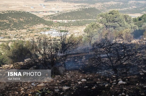 دلایل آتش‌سوزی جنگل‌های کردستان چیست؟
