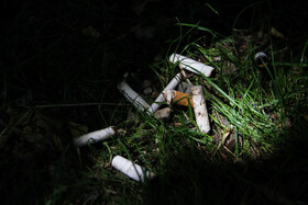 پرتاب ته سیگار از خودروهای عبوری کنار جنگل‌ها، یکی از عوامل آتش‌سوزی جنگل محسوب می‌شود.
