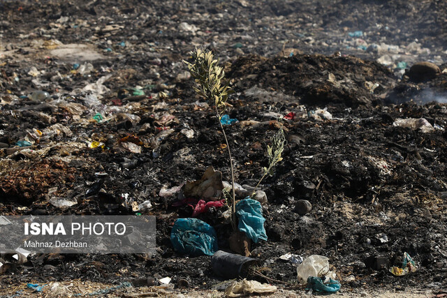 راه اندازی ایستگاههای چندگانه تفکیک زباله تا دو ماه آینده راه اندازی ایستگاههای چندگانه تفکیک زباله تا دو ماه آینده