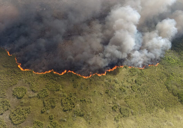 آتش‌سوزی در منطقه حفاظت‌شده مکزیک