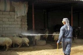 تمام توان خود را برای حمایت از تولید بکار گرفته‌ایم