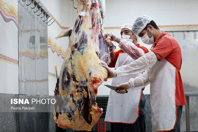 گوشت در یزد باز هم ارزان شد