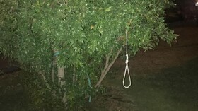 پیدا شدن طناب‌دار در محوطه دانشگاه استنفورد