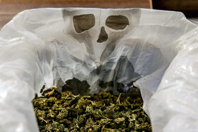 دستگیری سه مجرم فراری