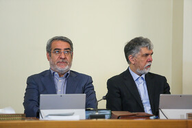 سیدعباس صالحی و عبدالرضا رحمانی فضلی در جلسه هیات دولت