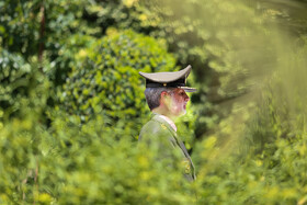 امیر حاتمی در حاشیه جلسه هیات دولت