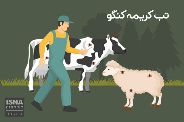 موشنگرافی / علائم و راههای پیشگیری از «تب کریمه کنگو» cover.jpg