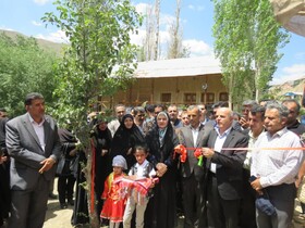 بانوان کارآفرین؛ نیازمند حمایت