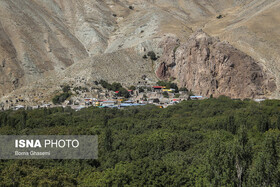 همدان در پی اشتغالزایی محیط زیستی