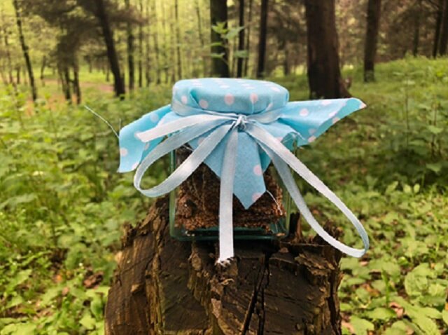 بوشهر، سومین تولید کننده کنجد کشور
