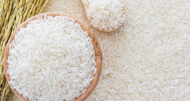 مزارع آلوده برنج حق برداشت ندارند