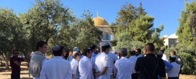 فراخوان صهیونیست‌ها برای یورش به مسجدالاقصی در عید قربان