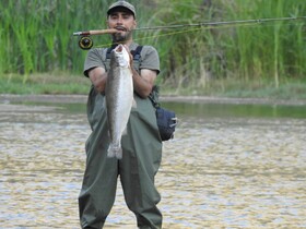 خروج «رنگین‌کمان» به نفع «خال‌قرمز»