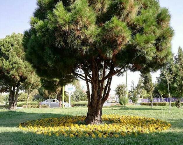 ابتکار هنرمندان اصفهانی برای هشدار نسبت به گرمایش جهانی 