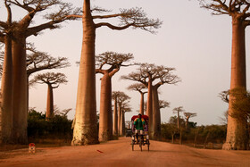 سفرنامه «ماداگاسکار» - ۱