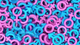 تعیین جنسیت جنین موش با جداسازی اسپرم