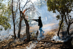 آتش سوزی جنگل‌های کوه سفید لنده در حال مهار است