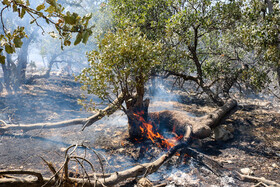 آتش سوزی جنگل‌ها و مراتع منطقه "کهوا" در شهرستان بویراحمد واقع در جاده سابق یاسوج - شیراز