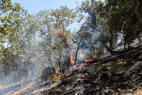 آتش‌سوزی جنگل‌ها و مراتع گچساران همچنان ادامه دارد