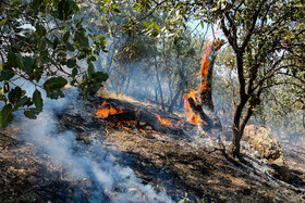 آتش سوزی در چند نقطه از جنگل‌ها و مراتع گچساران