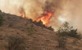 آتش در مراتع حفاظت شده "منگشت" / برخورد قانونی با آتش‌زنندگان کاه و کلش