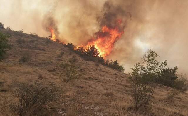 علل آتش‌سوزی جنگل‌های ارسباران در دست بررسی است