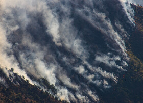 چگونه از آتش‌سوزی در جنگل‌ها و مراتع پیشگیری کنیم؟