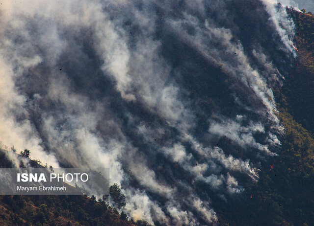 پتانسیل بالای وقوع آتش‌سوزی در جنگل‌های شمال کشور