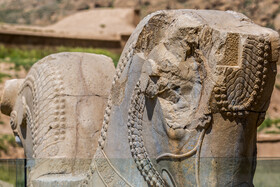 به نظر میرسد مرمت و بخصوص نگهداری از آثار مختلف تختجمشید باقیمانده از دوران هخامنشی، در طول سالهای گذشته از روش خاصی تبعیت نکرده است، شاید به همین دلیل است که برخی از آثار تاریخی آن مانند شیرهای سنگی قرار گرفته در بخشهای مختلف چندان حال خوبین دارند.