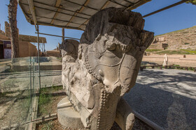 شیرسنگی تختجمشید با وجود سایهبان و شیشههایی که بین بازدیدکنندگان و شیر فاصله انداخته، حال چندان مناسبی ندارد، روایت تلخ ویرانی در پایتخت هخامنشی را در همین آثار کوچک سنگی هم میتوان به چشم دید.