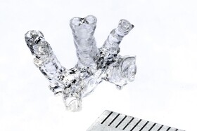 چاپ اندام تنها در چند ثانیه!+فیلم