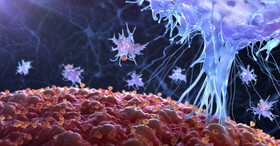 توسعه آنتی بادی‌هایی برای کمک به بدن در درمان بافت‌ها