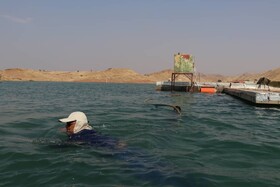 به زیر آب رفتن روستاهای "پرنوشته" و "تلخاب تاجدین" از توابع مسجدسلیمان بعد از آبگیری سد «گتوند»