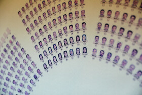 صحن علنی مجلس