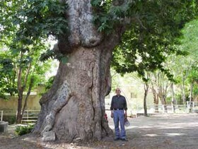 سه اثر طبیعی استان مرکزی ثبت ملی شد