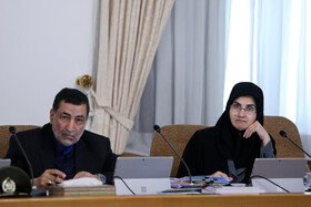 لعیا جنیدی، معاون حقوقی رییس‌جمهور و علیرضا آوایی، وزیر دادگستری در جلسه امروز هیأت دولت