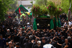 مراسم نخل گردانی در «شهداد» کرمان