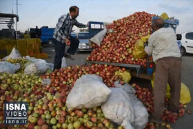 ویدئو / خسارت تگرگ تابستانی در ۴۷ روستای ارومیه