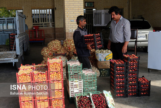 تداوم ذخیره و توزیع میوه تنظیم بازار ویژه نوروز در هرمزگان/هیچ کمبود مواد غذایی وجود ندارد