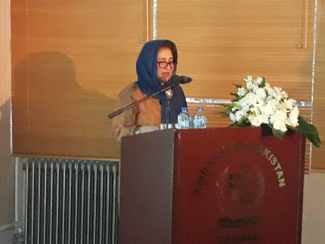 برگزاری روز دفاع پاکستان با عنوان "روز همبستگی کشمیر"