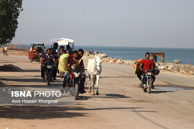 سرخی صورت هرمز از سیلی محرومیت +فیلم