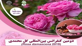 برگزاری دومین کنفرانس بین‌المللی گل محمدی در آبان ماه/آخرین مهلت ارسال چکیده مقالات