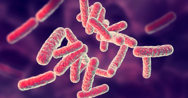 کشف نسخه مقاوم به آنتی‌بیوتیکِ یک باکتری کشنده